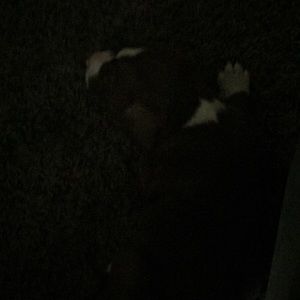 Meet your Posher, Ricky